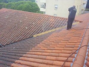 Nettoyage-toiture-Lyon-Démoussage-traitement-69